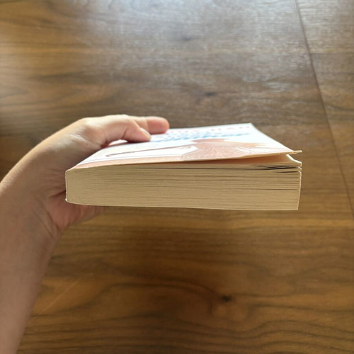 We’ll Always Have Summer book like new, English