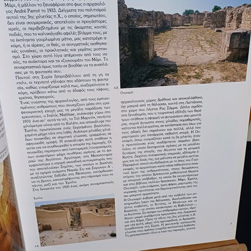 Book Syria Greek Echoes like new