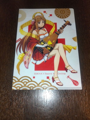 Small anime folder 21x17cm like new