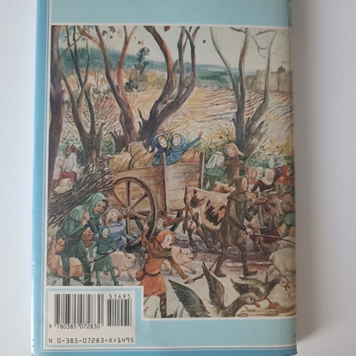 The Door in the Wall collectible English book like new
