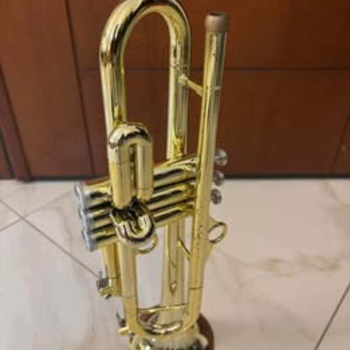 pTrumpet HyTech trumpet used, gold color with hard case and mouthpiece