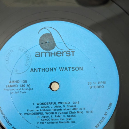 Anthony Watson Wonderful World 12" single vinyl used, R&B Soul