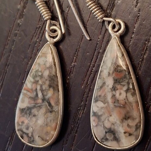 Fossil Crinoid Earrings silver plated 925 new