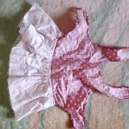 Dress for small dog new