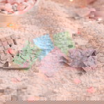 Wax melts σε σχήμα σοκολατάκια 5τμχ 30gr κατόπιν παραγγελίας