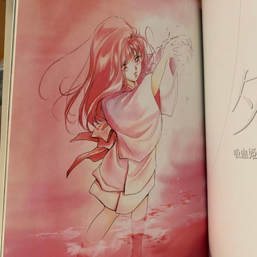 Vampire Princess Miyu Artbook new, collectible, excellent condition