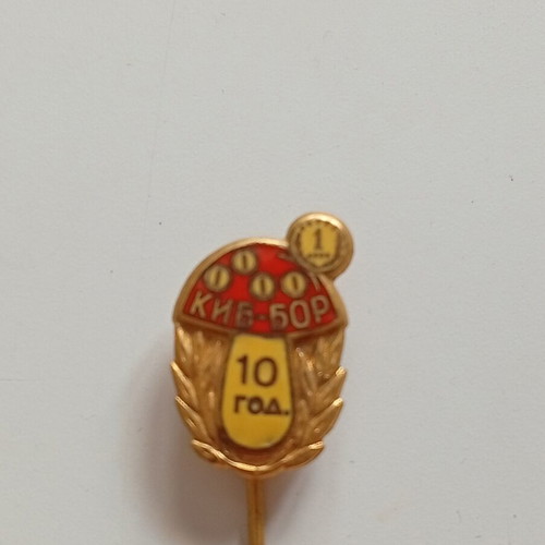 Soviet Union Anniversary Pin 10 Years Kiev, like new