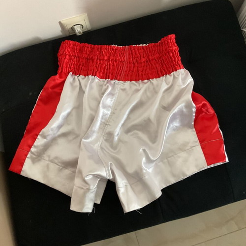 Twins martial arts shorts, men's size L, like new