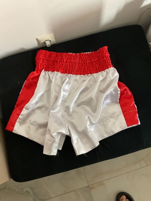 Twins martial arts shorts, men's size L, like new