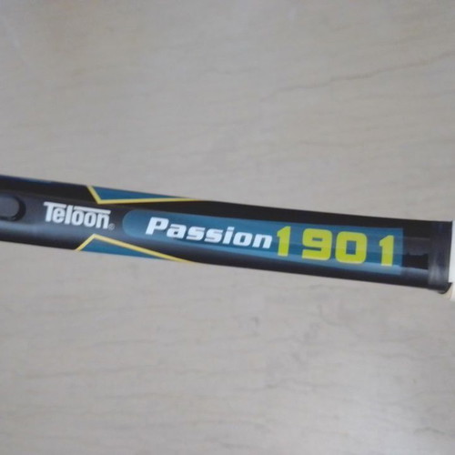 HEAD Graphite and TELOON Passion 1901 rackets like new with cases