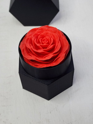 Eternal Rose like new