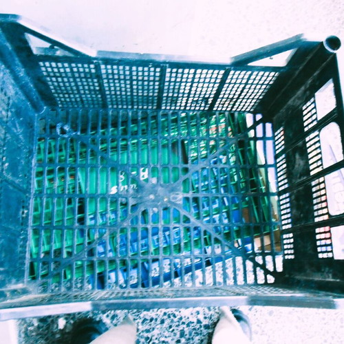 Plastic crate like new for fruits and vegetables