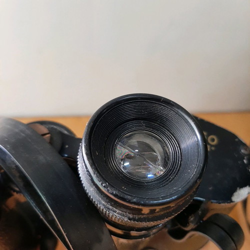 Horizon Ambassador 10×50 binoculars used, vintage Japanese model