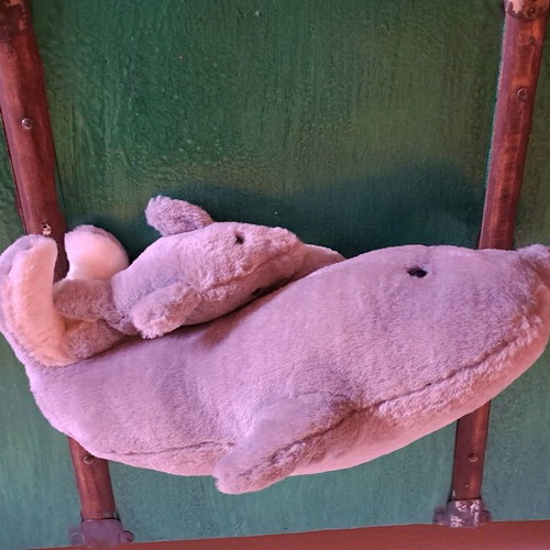 Stuffed dolphin used in good condition
