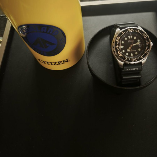 Citizen Promaster Eco-Drive Diver 300m BN0000-04H watch NOS