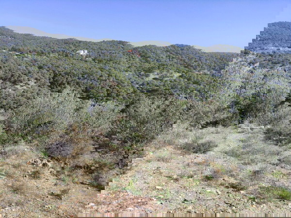 Κτήμα