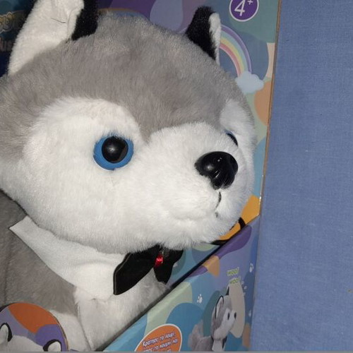 Cute Pets Husky new, gray with 80 cm leash