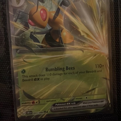 Beedrill EX Pokémon card new