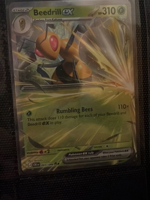 Beedrill EX Pokémon card new