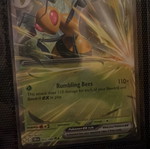 Beedrill EX Pokémon card new