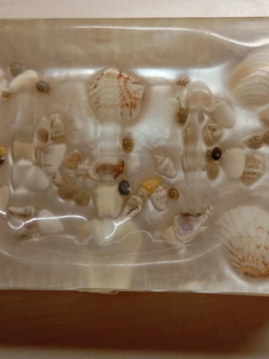 Soap dish with shells new
