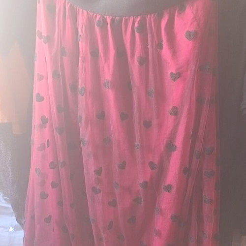 Medium Large Long Tulle Skirt Cherry Red Used