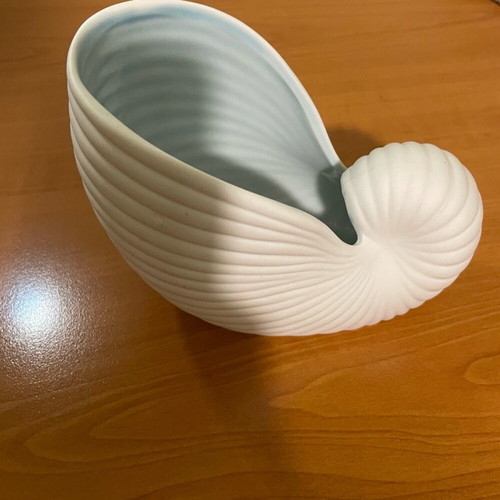 White ceramic shell new with blue interior