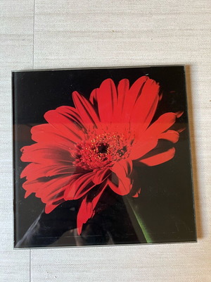 Set of 2 glass photos used 20x20 cm