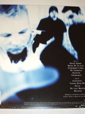 Evanescence Fallen LP καινούργιο, metal