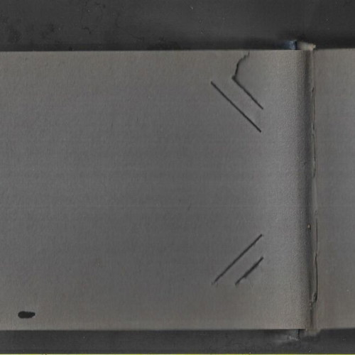 Old photo album with leather spine and embossed cover