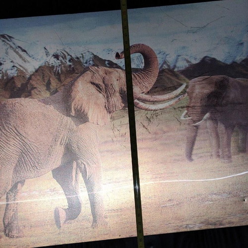 3D Decorative Wall Art with African Elephants Effect 39x29cm like new