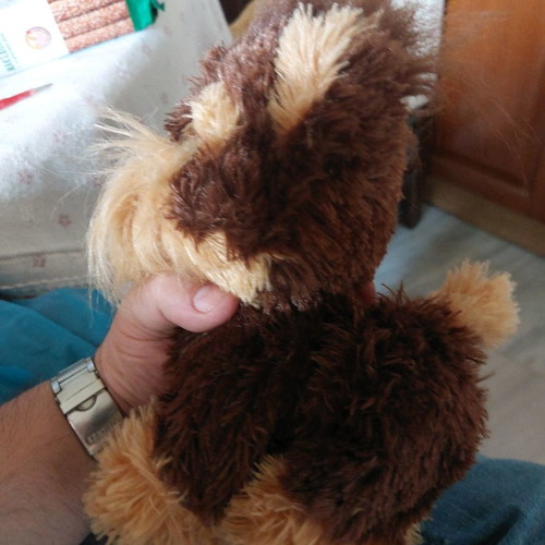 Fur Real Friends Shaggy Shawn functional