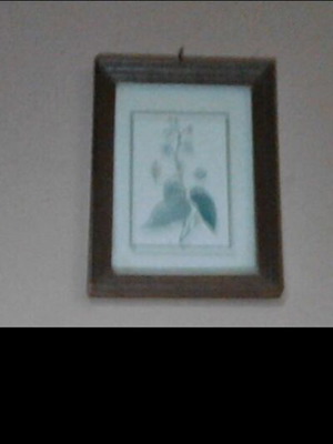 Small frames used, set of 3