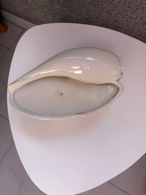 Candle with porcelain shell shape new