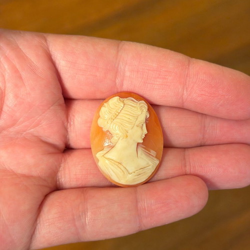 Cameo old genuine like new
