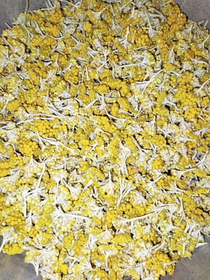 Dried Organic Helichrysum from Crete 40gr