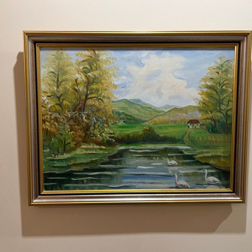 Artistic Landscape Lake and Nature like new