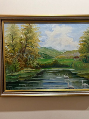 Artistic Landscape Lake and Nature like new