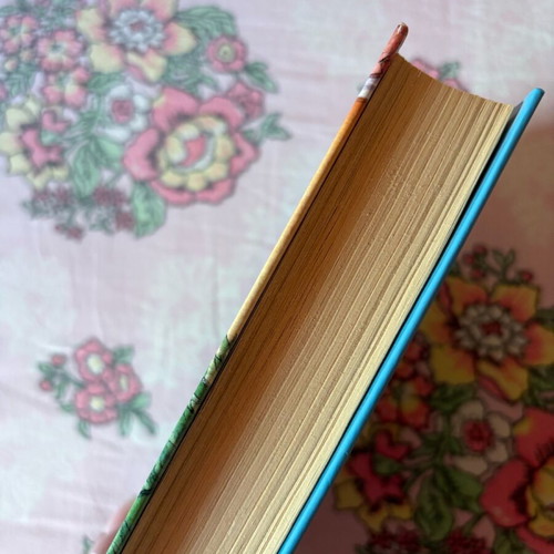 Book «Μάγκας» like new