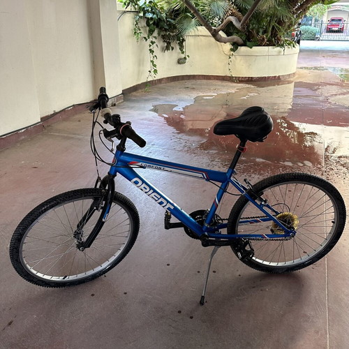 Orient Comfort city bike with anatomical saddle, blue, 26 inch