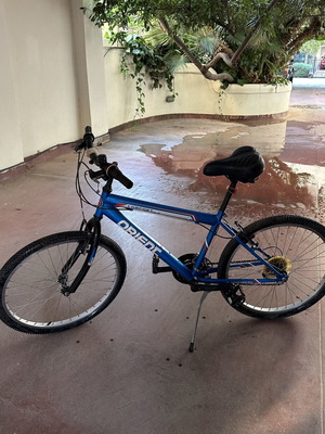 Orient Comfort city bike with anatomical saddle, blue, 26 inch