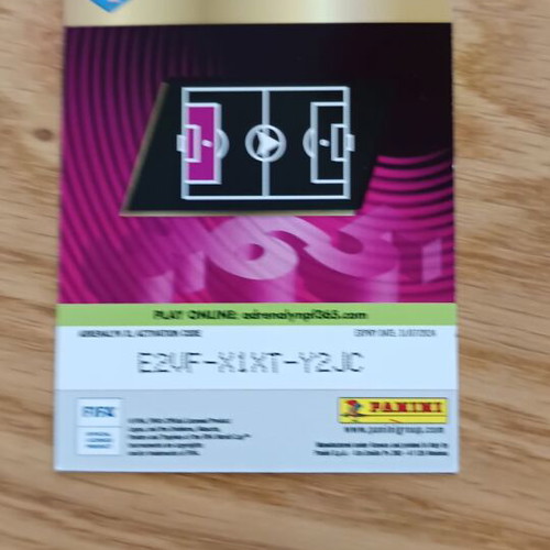 Ter Steggen Top Keeper XL Andrenalyn Panini 2024 FIFA 365 card new