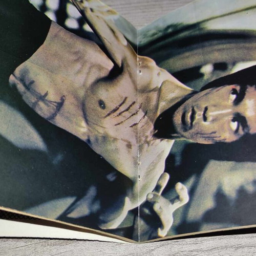 Zagor issue 209 used with Bruce Lee poster