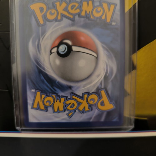 Cinccino ex Pokemon card new condition