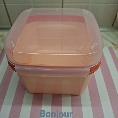 Delis 2.6lt container for dry food storage like new