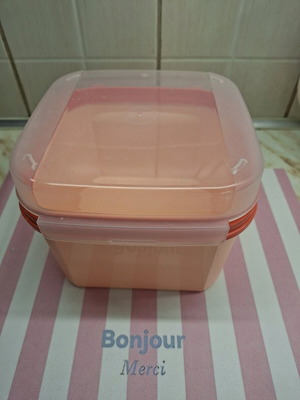 Delis 2.6lt container for dry food storage like new