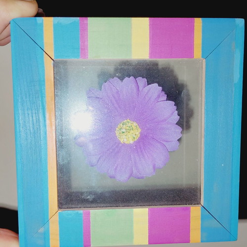Decorative frame with encased flower, new