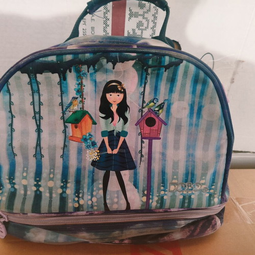 Lunch bag used, good condition