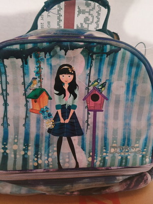 Lunch bag used, good condition