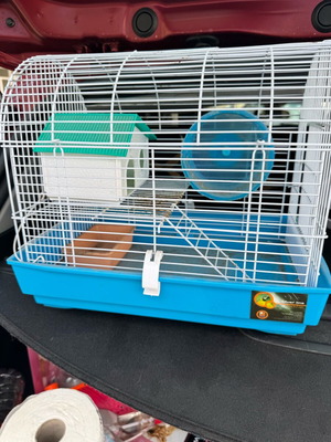 Hamster cages like new, set of 2 with wheel, house and water cup